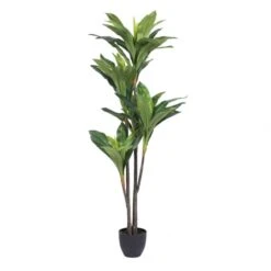 5 Foot Real Touch Dracaena: Potted