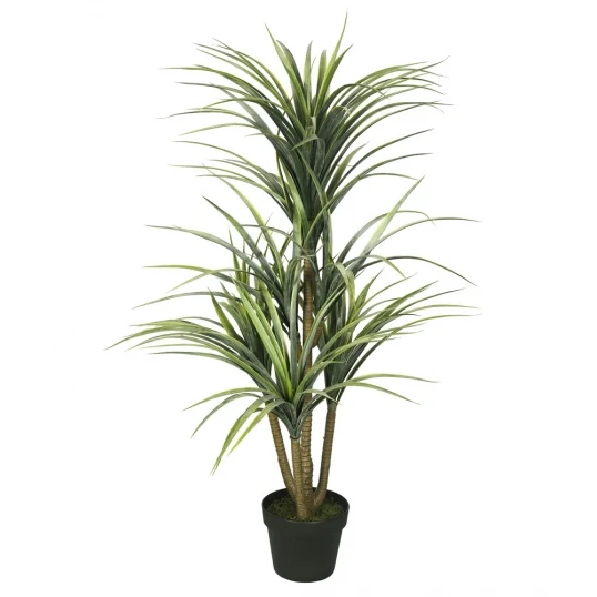 40 Inch Yucca Tree: Potted 1 40 Inch Yucca Tree: Potted