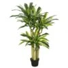 52 Inch Real Touch Dracaena Tree: Potted
