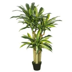 52 Inch Real Touch Dracaena Tree: Potted