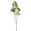 4 Foot Cotinus Coggygria Smoke Branch (Set Of 6)