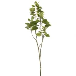 4 Foot Cotinus Coggygria Smoke Branch (Set Of 6)