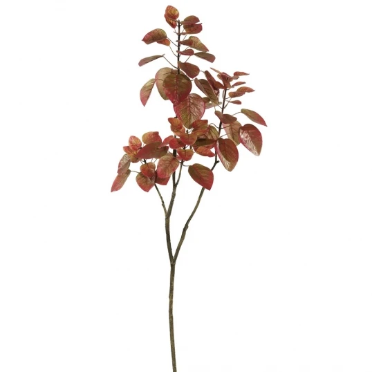 4 Foot Red Cotinus Coggygria Smoke Branch (Set Of 6) 1 4 Foot Red Cotinus Coggygria Smoke Branch (Set Of 6)