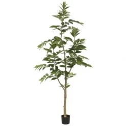 7 Foot Nandina Tree: Potted