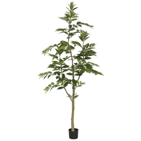 7 Foot Nandina Tree: Potted 1 7 Foot Nandina Tree: Potted