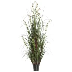 5 Foot Eucalyptus Grass: Potted