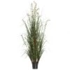 2 Foot Eucalyptus Grass: Potted