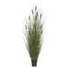 5 Foot Grass With 12 Cattails: Potted