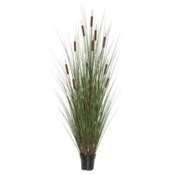 5 Foot Grass With 12 Cattails: Potted