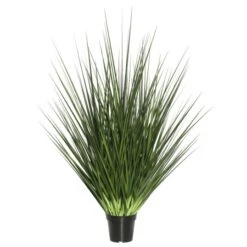 5 Foot Extra Full Grass: Potted