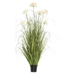 4 Foot Dandelion Grass: Potted
