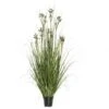 2 Foot Grass With Pomp Balls: Potted