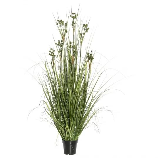 2 Foot Grass With Pomp Balls: Potted 1 2 Foot Grass With Pomp Balls: Potted
