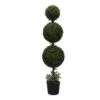 5 Foot UV Protected Boxwood Triple Ball Topiary: Potted