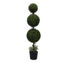 5 Foot UV Protected Boxwood Triple Ball Topiary: Potted