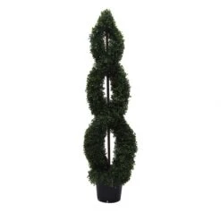 5 Foot UV Protected Boxwood Double Spiral Topiary: Potted