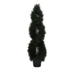 5 Foot UV Protected Cedar Double Spiral Topiary: Potted