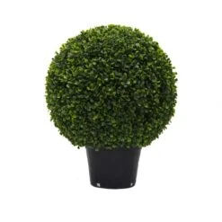 20 Inch UV Protected Boxwood Ball Topiary: Potted