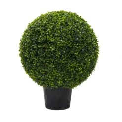 2 Foot UV Protected Boxwood Ball Topiary: Potted
