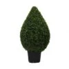 3 Foot UV Protected Boxwood Cone Topiary: Potted