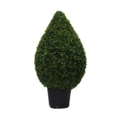 3 Foot UV Protected Boxwood Cone Topiary: Potted
