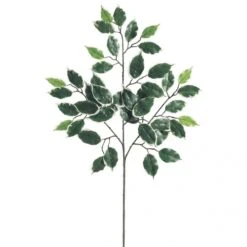23 Inch Variegated Ficus Branch (Set Of 12) - OVERSTOCK