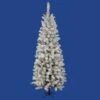 5.5 Foot Flocked Pencil Pacific Pine: Multi-Colored Lights