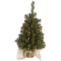 2.5 Foot Felton Pine Tree In Burlap Base: Multi-Colored Lights