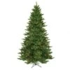 7.5 Foot Camdon Fir Christmas Tree: Multi-Color Lights