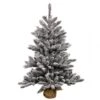 42 Inch Flocked Anoka Pine Tree: Clear LEDs
