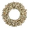 24 Inch Champagne Wreath: Clear LEDs