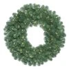24 Inch Oregon Fir Wreath: Clear LEDs