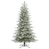 10 Foot PE/PVC Frosted Eastern Frasier Fir Tree: Clear Lights