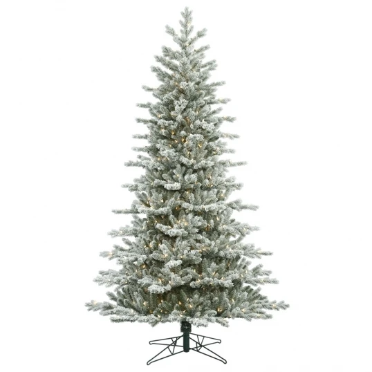 5.5 Foot PE/PVC Frosted Eastern Frasier Fir Tree: Clear Lights 1 5.5 Foot PE/PVC Frosted Eastern Frasier Fir Tree: Clear Lights