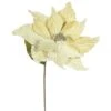 22 Inch Velvety Champagne Poinsettia - 12 Inch Flower: Set Of 6