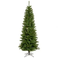 4.5 Foot Salem Pencil Pine Christmas Tree: Multicolor Lights