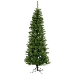 6.5 Foot Salem Pencil Pine Christmas Tree: Unlit