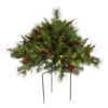18 Inch Cibola Berry Mixed Pine Bush: Clear LEDs