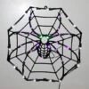 17 X 17 Inch LED Spider Web