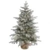 4 Foot PE/PVC Frosted Sable Pine In Burlap Base: Clear Lights