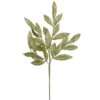 22 Inch Lime Glitter Bay Leaf Spray (Set Of 12)