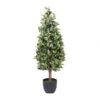 4 Foot Bay Cone Topiary: Potted
