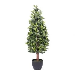 4 Foot Bay Cone Topiary: Potted