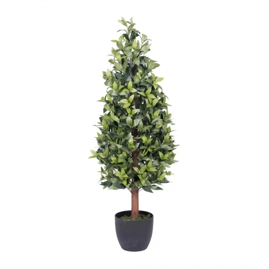 4 Foot Bay Cone Topiary: Potted 1 4 Foot Bay Cone Topiary: Potted